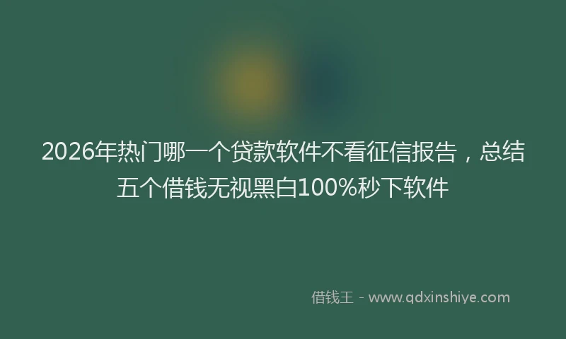 2026年热门哪一个贷款软件不看征信报告，总结五个借钱无视黑白100%秒下软件