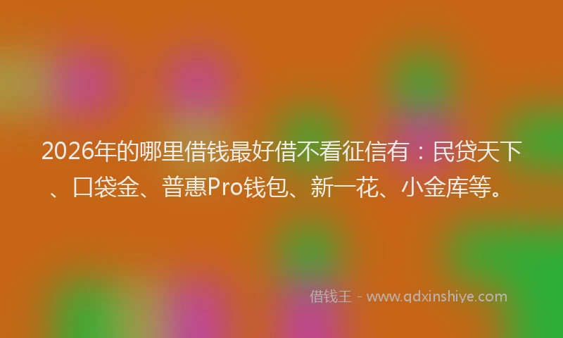 2026年的哪里借钱最好借不看征信有：民贷天下、口袋金、普惠Pro钱包、新一花、小金库等。