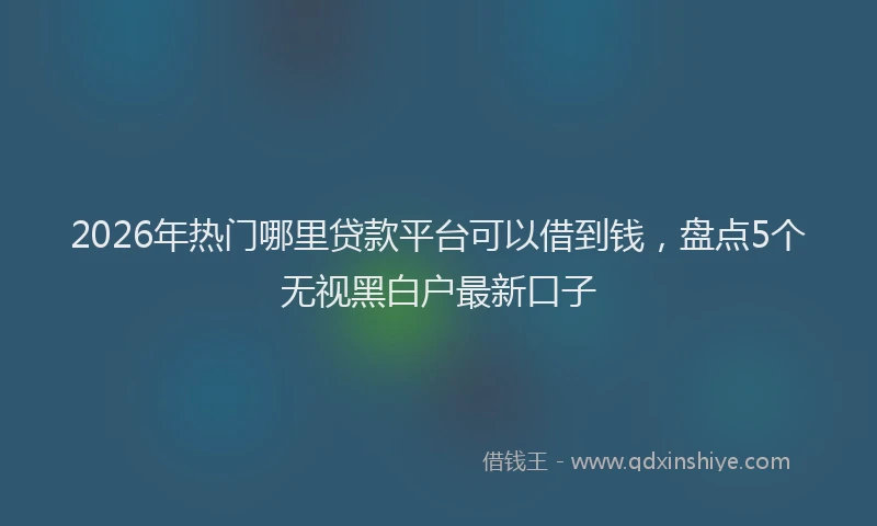 2026年热门哪里贷款平台可以借到钱，盘点5个无视黑白户最新口子