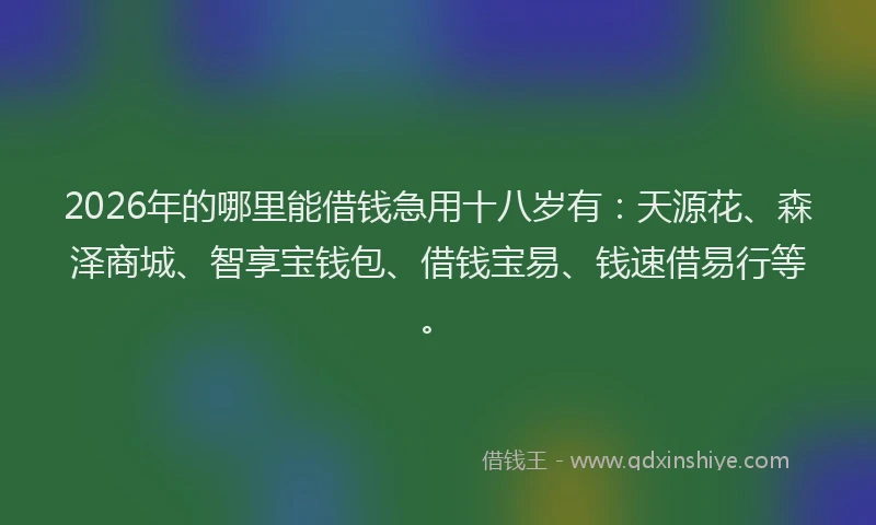 2026年的哪里能借钱急用十八岁有：天源花、森泽商城、智享宝钱包、借钱宝易、钱速借易行等。