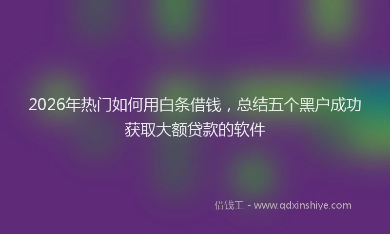 2026年热门如何用白条借钱，总结五个黑户成功获取大额贷款的软件