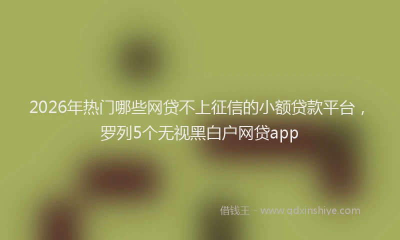 2026年热门哪些网贷不上征信的小额贷款平台，罗列5个无视黑白户网贷app