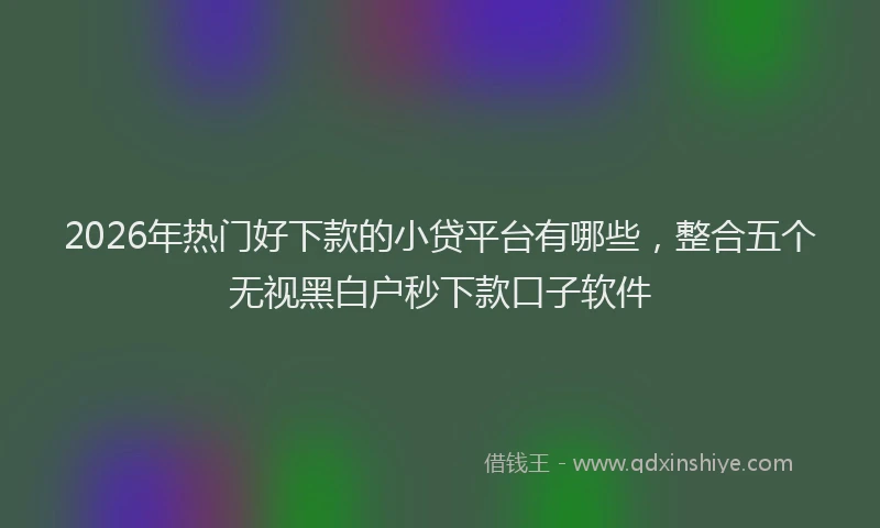 2026年热门好下款的小贷平台有哪些，整合五个无视黑白户秒下款口子软件