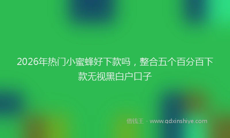 2026年热门小蜜蜂好下款吗,整合五个百分百下款无视黑白户口子
