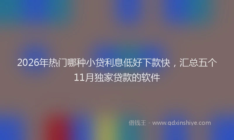 2026年热门哪种小贷利息低好下款快，汇总五个11月独家贷款的软件