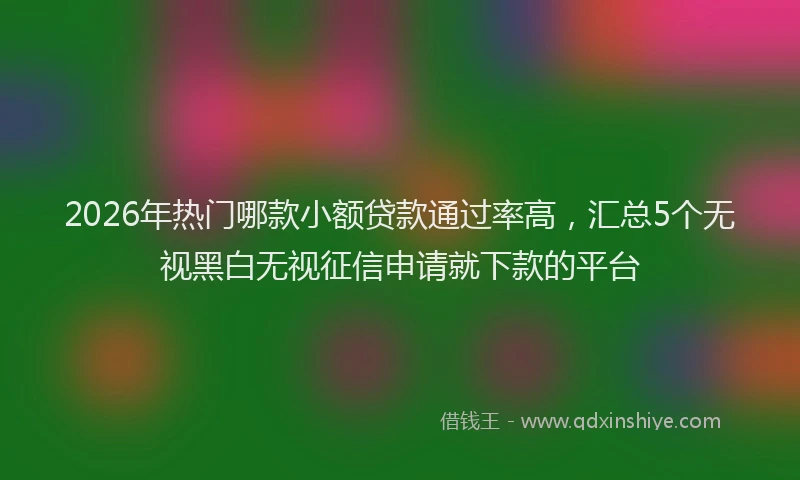 2026年热门哪款小额贷款通过率高，汇总5个无视黑白无视征信申请就下款的平台