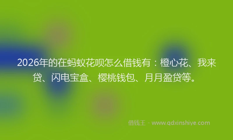 2026年的在蚂蚁花呗怎么借钱有：橙心花、我来贷、闪电宝盒、樱桃钱包、月月盈贷等。