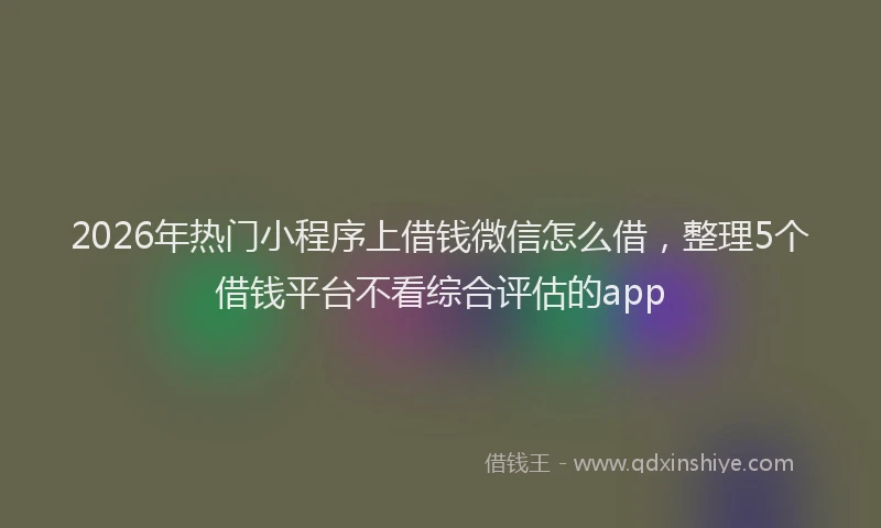 2026年热门小程序上借钱微信怎么借，整理5个借钱平台不看综合评估的app