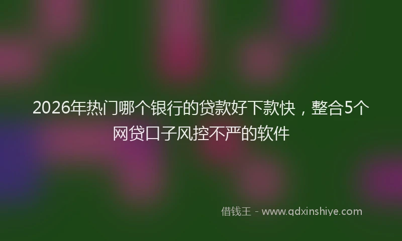 2026年热门哪个银行的贷款好下款快，整合5个网贷口子风控不严的软件