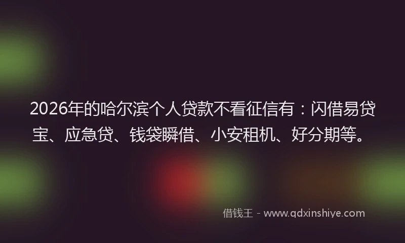 2026年的哈尔滨个人贷款不看征信有：闪借易贷宝、应急贷、钱袋瞬借、小安租机、好分期等。