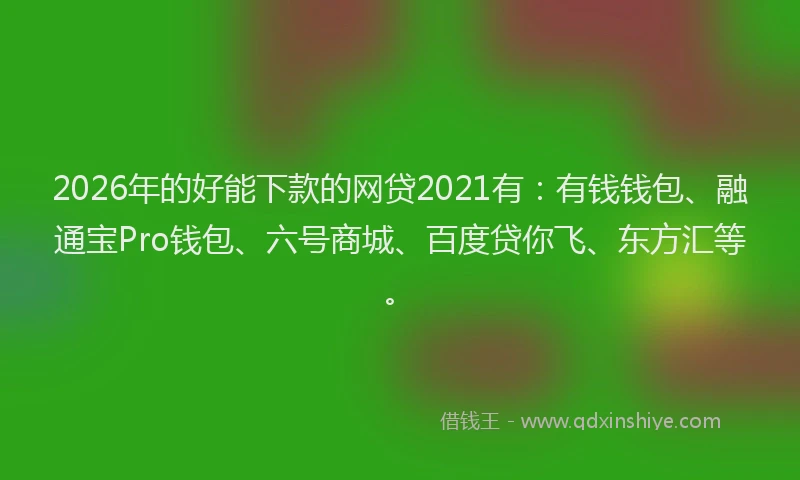 2026年的好能下款的网贷2021有：有钱钱包、融通宝Pro钱包、六号商城、百度贷你飞、东方汇等。