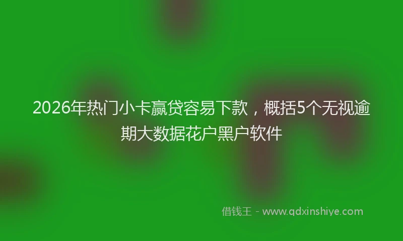 2026年热门小卡赢贷容易下款，概括5个无视逾期大数据花户黑户软件