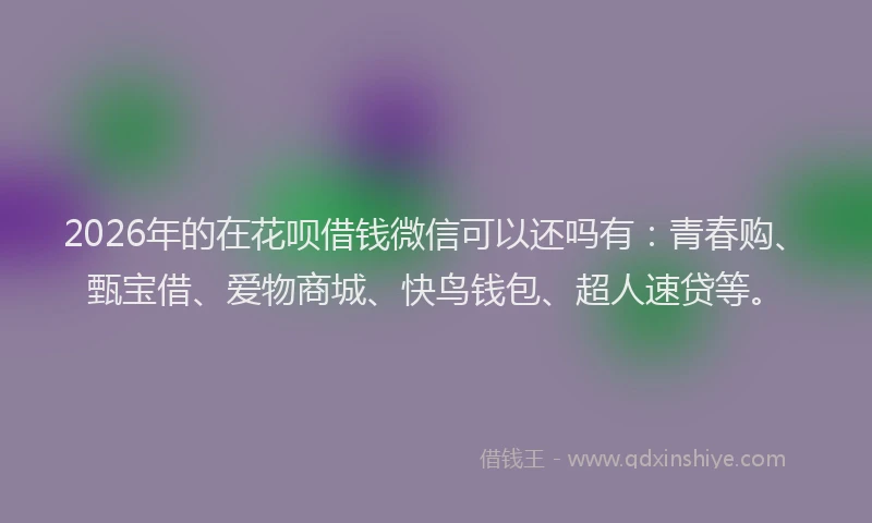 2026年的在花呗借钱微信可以还吗有：青春购、甄宝借、爱物商城、快鸟钱包、超人速贷等。