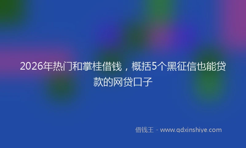 2026年热门和掌桂借钱，概括5个黑征信也能贷款的网贷口子