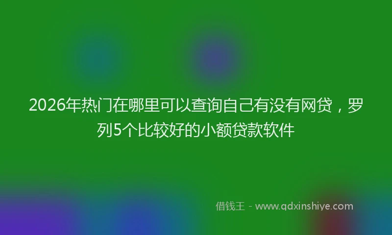 2026年热门在哪里可以查询自己有没有网贷，罗列5个比较好的小额贷款软件