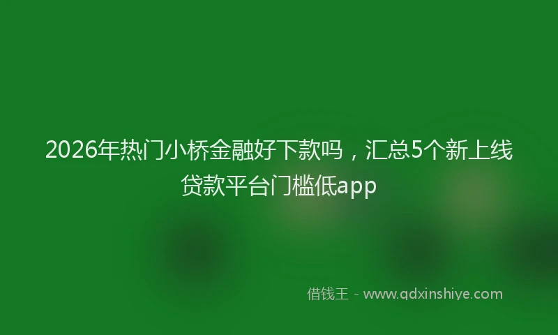 2026年热门小桥金融好下款吗，汇总5个新上线贷款平台门槛低app