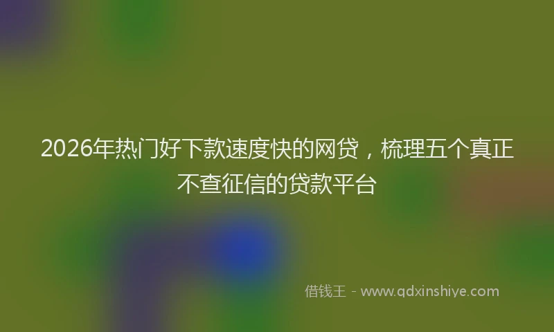 2026年热门好下款速度快的网贷，梳理五个真正不查征信的贷款平台