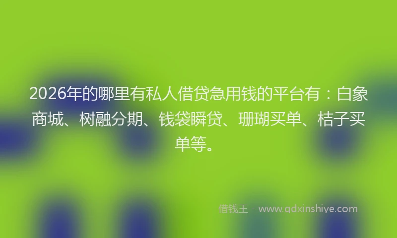 2026年的哪里有私人借贷急用钱的平台有：白象商城、树融分期、钱袋瞬贷、珊瑚买单、桔子买单等。