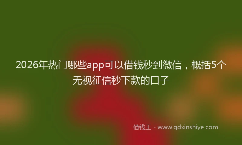 2026年热门哪些app可以借钱秒到微信，概括5个无视征信秒下款的口子