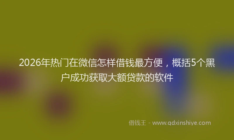 2026年热门在微信怎样借钱最方便，概括5个黑户成功获取大额贷款的软件