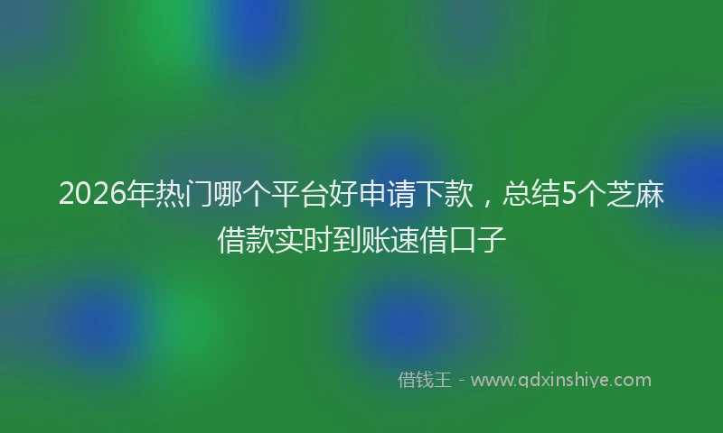 2026年热门哪个平台好申请下款，总结5个芝麻借款实时到账速借口子