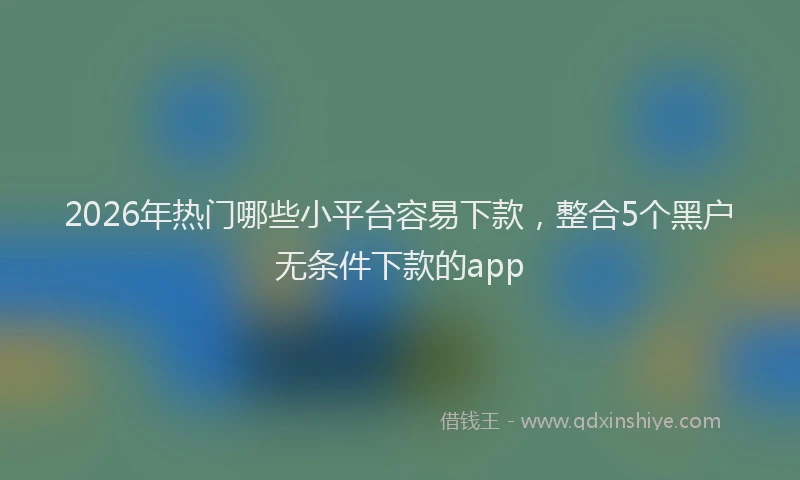 2026年热门哪些小平台容易下款，整合5个黑户无条件下款的app