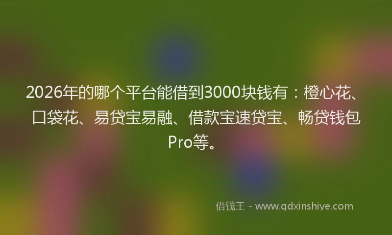 2026年的哪个平台能借到3000块钱有：橙心花、口袋花、易贷宝易融、借款宝速贷宝、畅贷钱包Pro等。