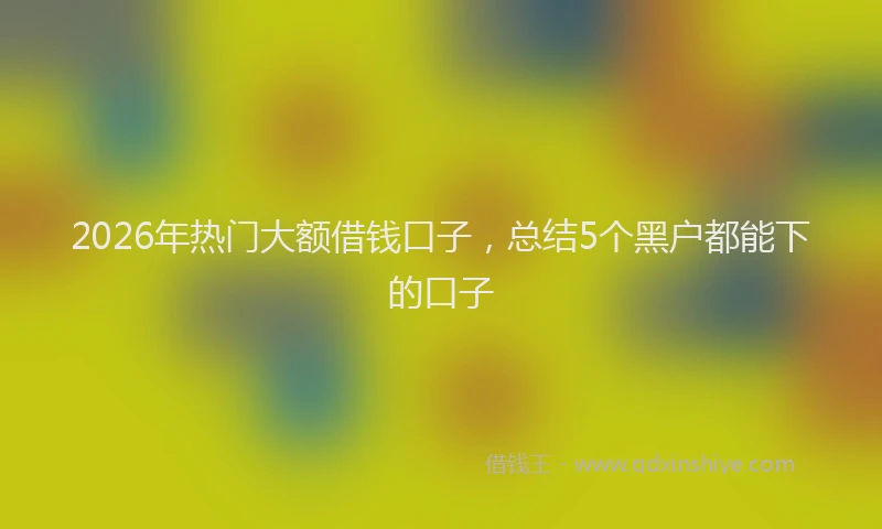 2026年热门大额借钱口子，总结5个黑户都能下的口子