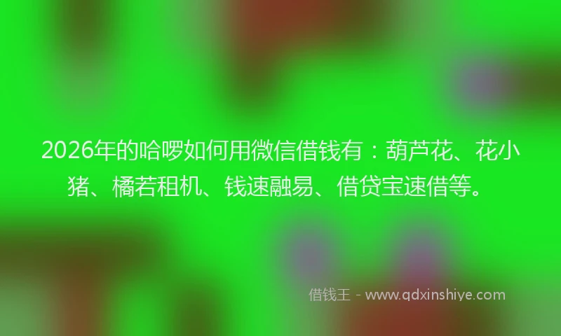 2026年的哈啰如何用微信借钱有：葫芦花、花小猪、橘若租机、钱速融易、借贷宝速借等。