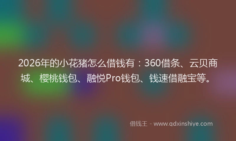 2026年的小花猪怎么借钱有：360借条、云贝商城、樱桃钱包、融悦Pro钱包、钱速借融宝等。