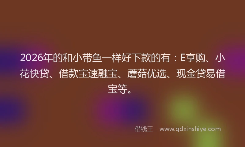 2026年的和小带鱼一样好下款的有：E享购、小花快贷、借款宝速融宝、蘑菇优选、现金贷易借宝等。