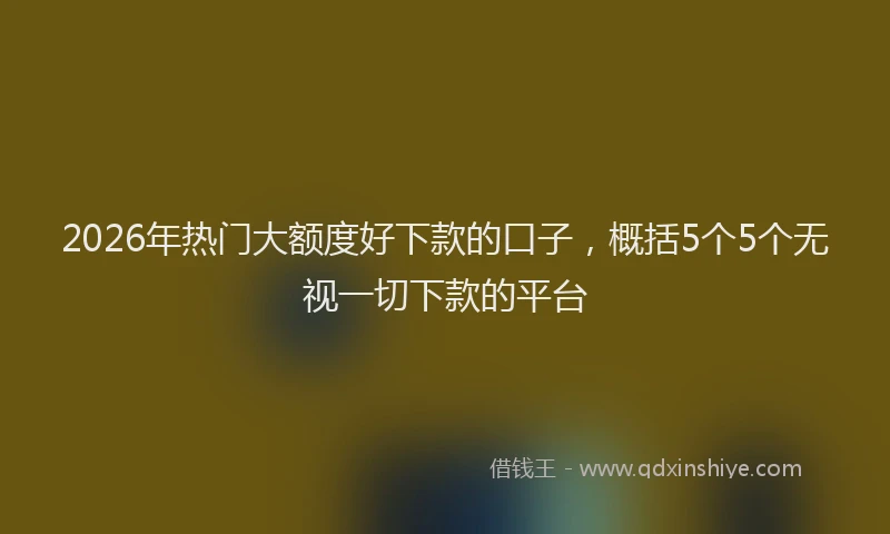 2026年热门大额度好下款的口子，概括5个5个无视一切下款的平台