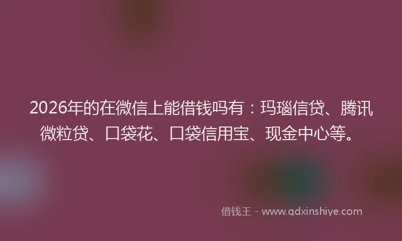 2026年的在微信上能借钱吗有：玛瑙信贷、腾讯微粒贷、口袋花、口袋信用宝、现金中心等。