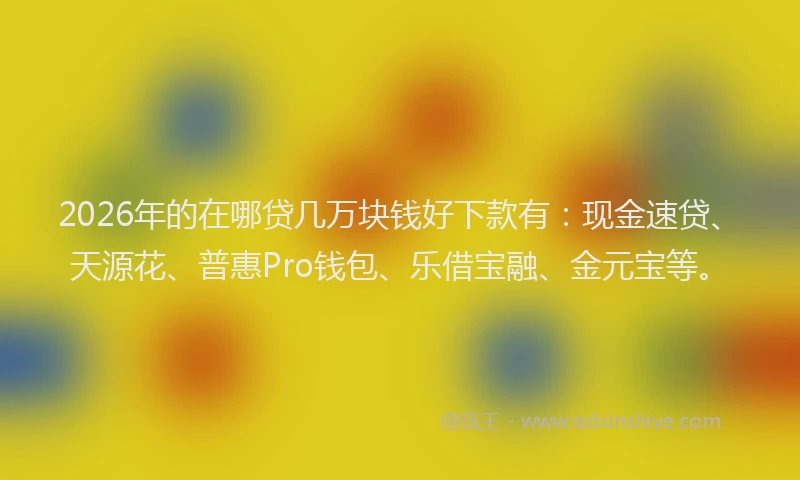 2026年的在哪贷几万块钱好下款有：现金速贷、天源花、普惠Pro钱包、乐借宝融、金元宝等。