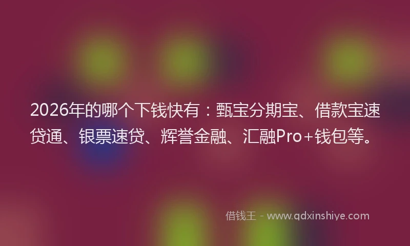 2026年的哪个下钱快有：甄宝分期宝、借款宝速贷通、银票速贷、辉誉金融、汇融Pro+钱包等。