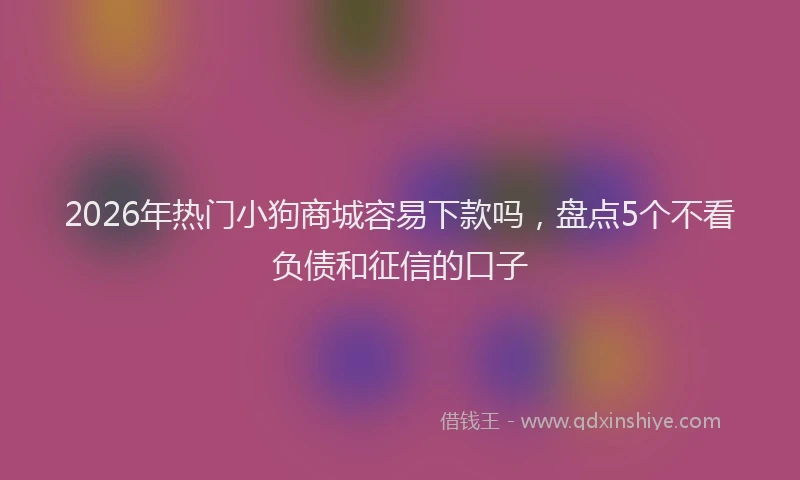 2026年热门小狗商城容易下款吗，盘点5个不看负债和征信的口子