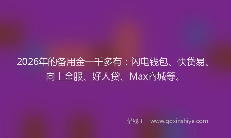 2026年的备用金一千多有：闪电钱包、快贷易、向上金服、好人贷、Max商城等。