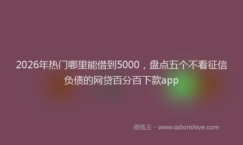 2026年热门哪里能借到5000，盘点五个不看征信负债的网贷百分百下款app