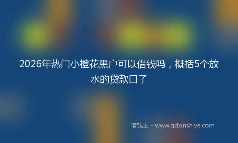 2026年热门小橙花黑户可以借钱吗，概括5个放水的贷款口子