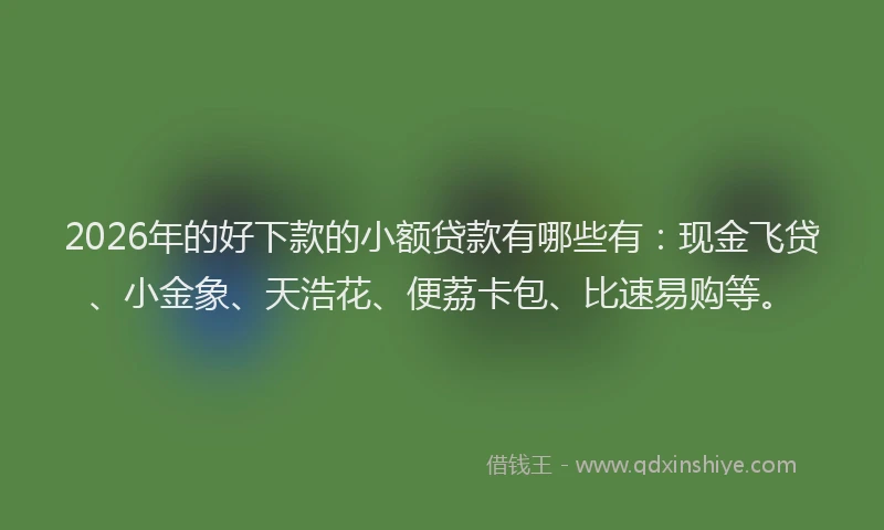 2026年的好下款的小额贷款有哪些有：现金飞贷、小金象、天浩花、便荔卡包、比速易购等。