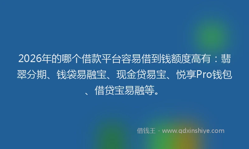 2026年的哪个借款平台容易借到钱额度高有：翡翠分期、钱袋易融宝、现金贷易宝、悦享Pro钱包、借贷宝易融等。
