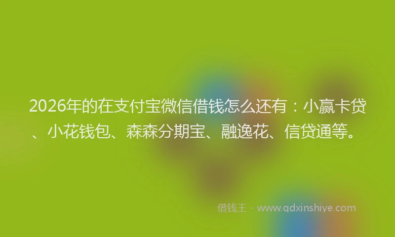 2026年的在支付宝微信借钱怎么还有：小赢卡贷、小花钱包、森森分期宝、融逸花、信贷通等。