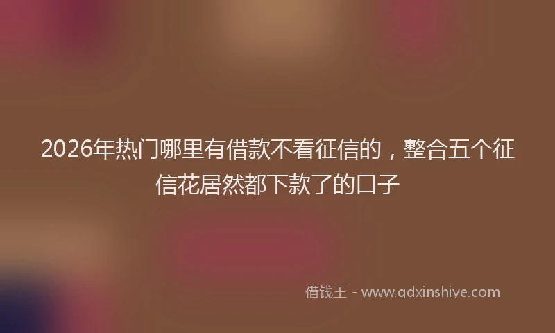 2026年热门哪里有借款不看征信的，整合五个征信花居然都下款了的口子