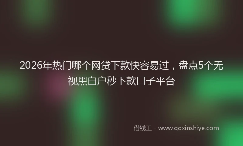 2026年热门哪个网贷下款快容易过，盘点5个无视黑白户秒下款口子平台