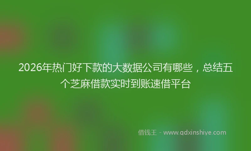 2026年热门好下款的大数据公司有哪些，总结五个芝麻借款实时到账速借平台