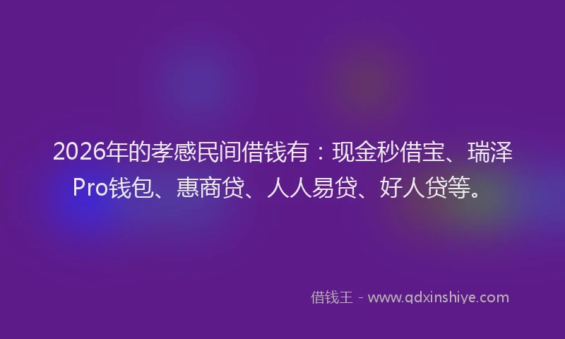 2026年的孝感民间借钱有：现金秒借宝、瑞泽Pro钱包、惠商贷、人人易贷、好人贷等。