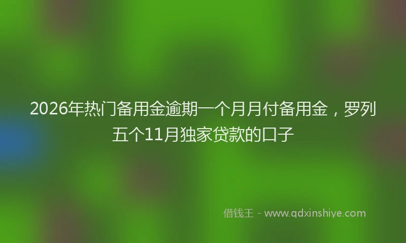 2026年热门备用金逾期一个月月付备用金，罗列五个11月独家贷款的口子