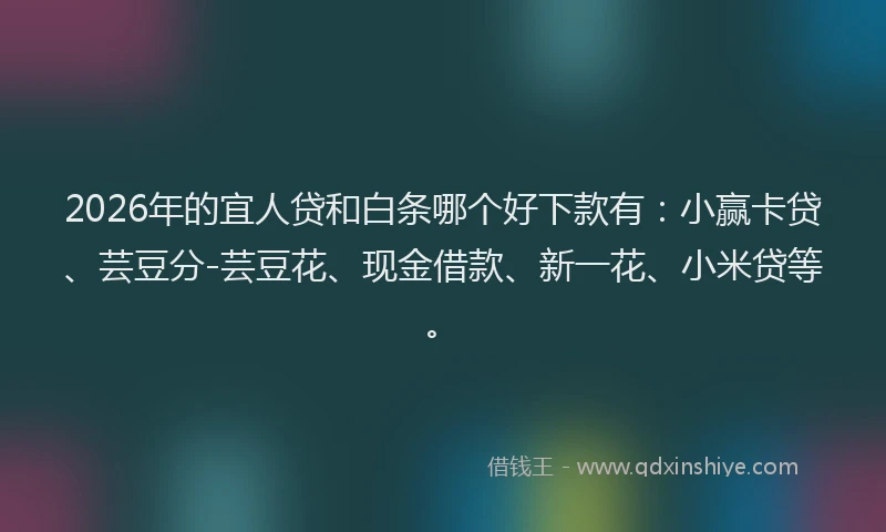 2026年的宜人贷和白条哪个好下款有：小赢卡贷、芸豆分-芸豆花、现金借款、新一花、小米贷等。