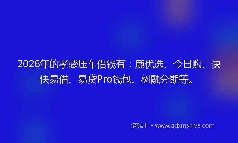 2026年的孝感压车借钱有：鹿优选、今日购、快快易借、易贷Pro钱包、树融分期等。