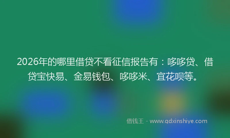 2026年的哪里借贷不看征信报告有：哆哆贷、借贷宝快易、金易钱包、哆哆米、宜花呗等。